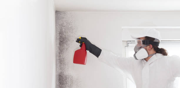 Crawl Space Mold Removal in South Laurel, MD