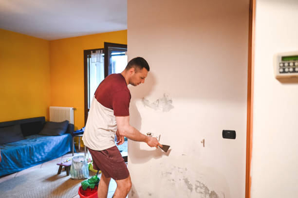 Best Residential Mold Removal  in South Laurel, MD